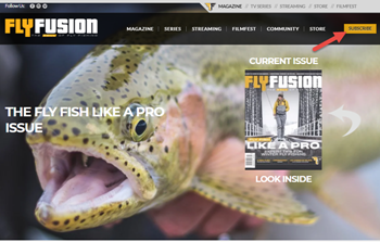 Easily connect your website to your SimpleCirc checkout pages